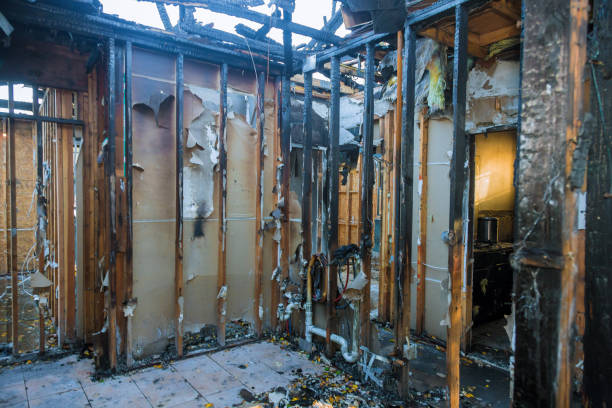 Professional Fire Damage Removal technician working in Corona de Tucson, AZ